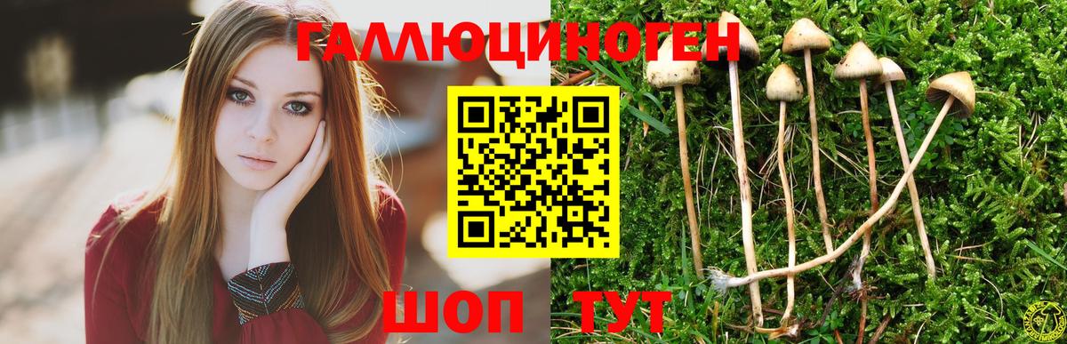 Галлюциногенные грибы GOLDEN TEACHER  Вход с VPN  Псилоцибиновые грибы мухоморы  сколько стоит  Рязань 